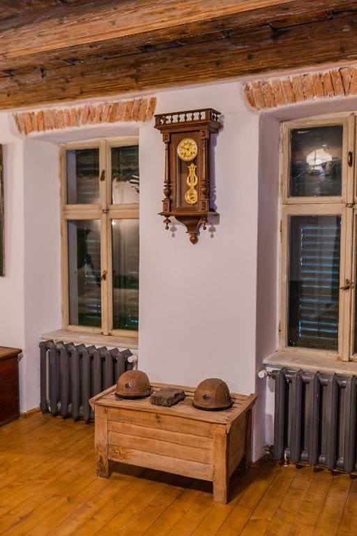 Șura din Seleuș - Seleuș Barn - Idyllic Countryside Museum - View 6