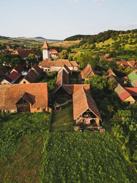 Șura din Seleuș - Seleuș Barn - Idyllic Countryside Museum - View 4