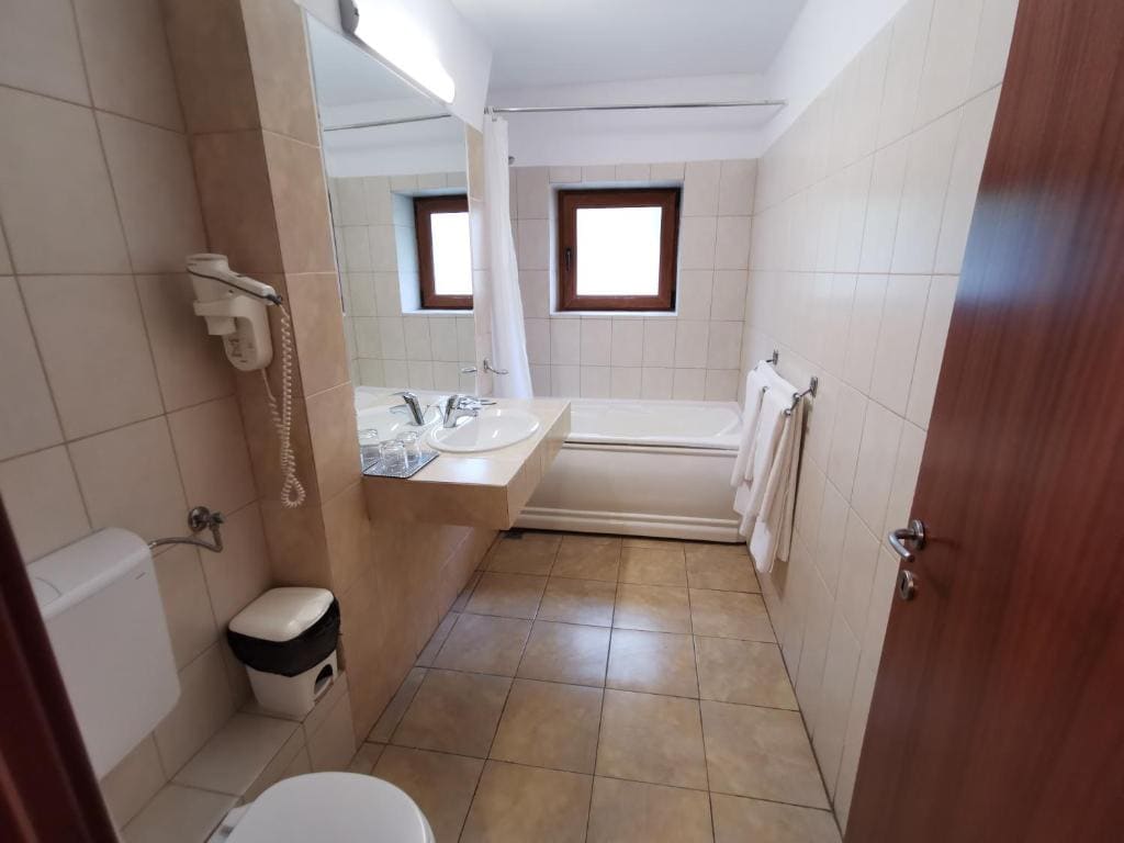 Hotel Timisoara Sannicolau Mare - View 3
