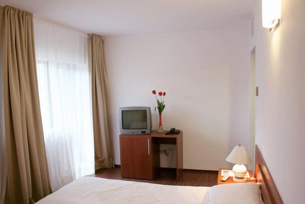 Hotel Timisoara Sannicolau Mare - View 7