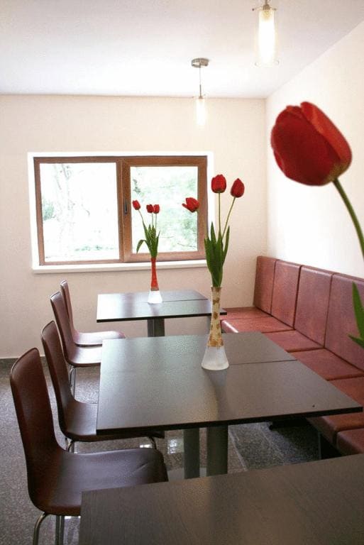 Hotel Timisoara Sannicolau Mare - View 4