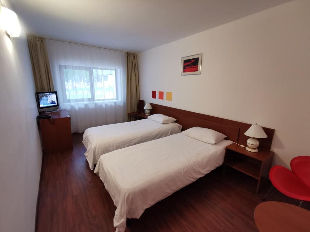 Hotel Timisoara Sannicolau Mare - View 2