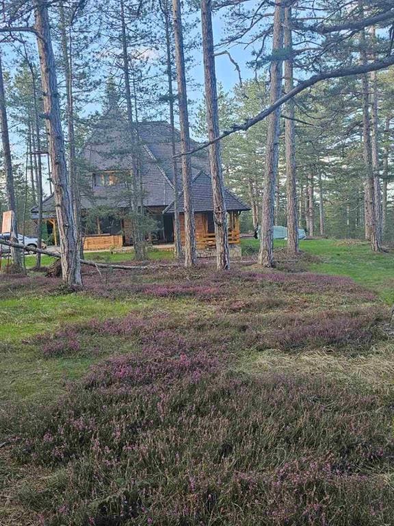 Apartman Crni bor 1 Tara - View 7