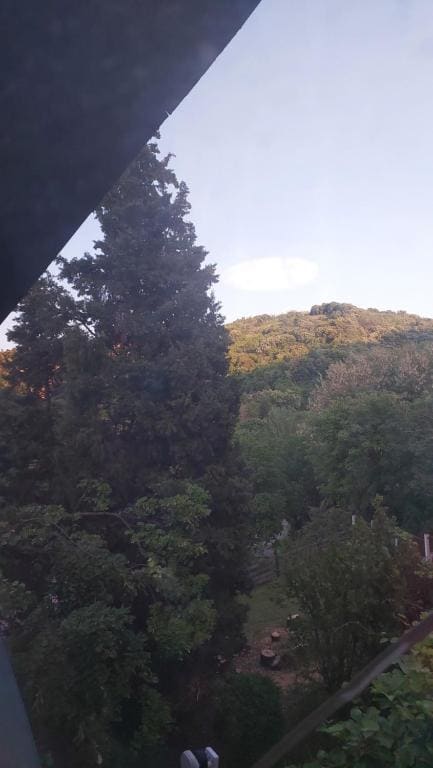 Аpartman ELENA - View 5