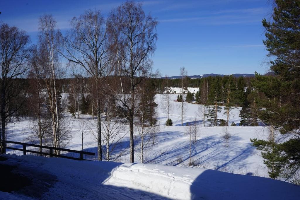 Borrgården Hostel - View 2