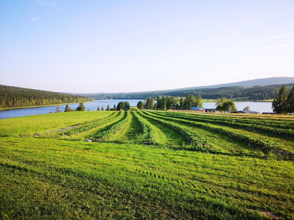 Skatauddens Lantgård - View 5