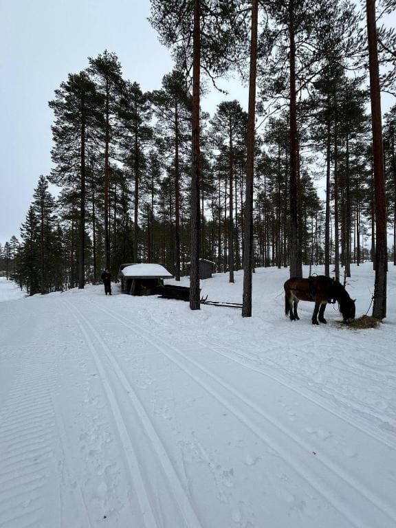 Vasaloppsgården - egen hockeyrink - View 4