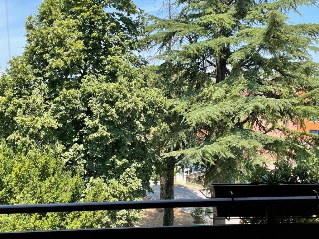 ANGELO - View 7