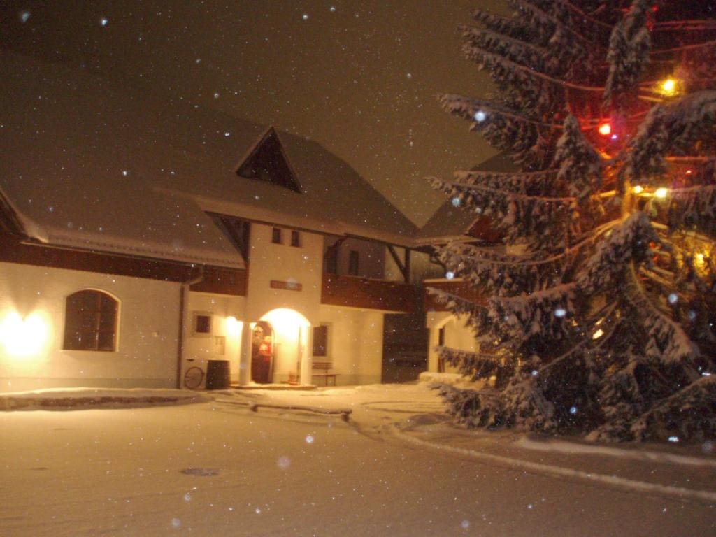 Turistična kmetija Košir - View 4