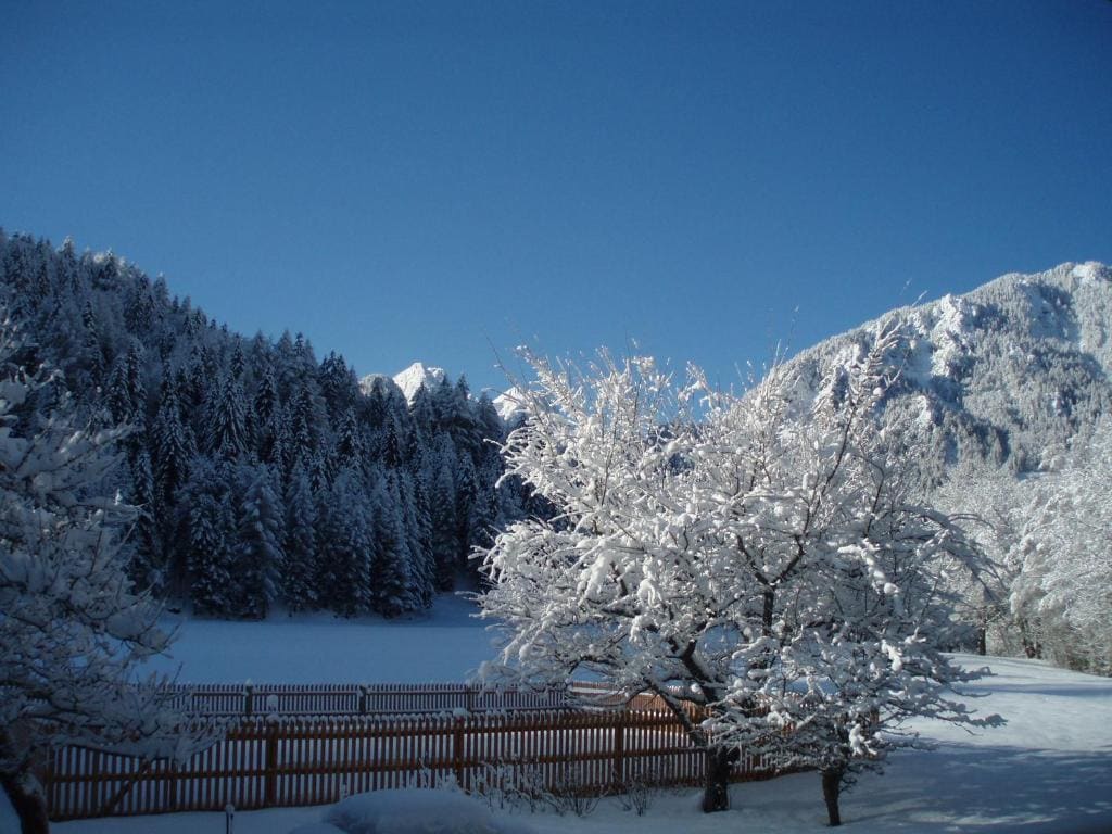 Turistična kmetija Košir - View 6
