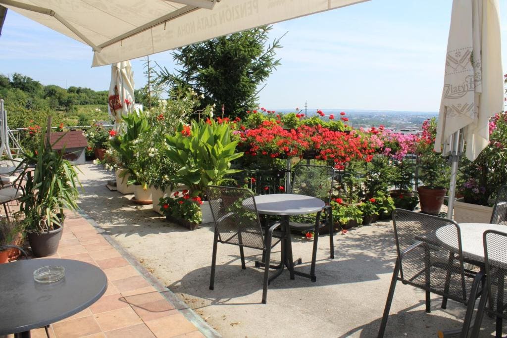 Pension Zlata Noha - View 5