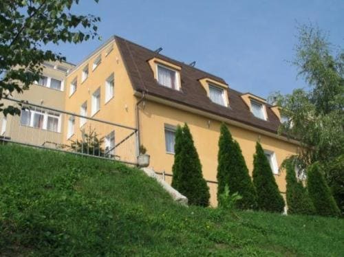 Pension Zlata Noha - Main view