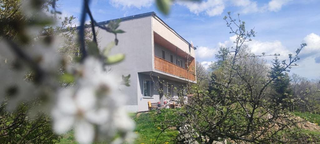 Ružová Vila - Main view