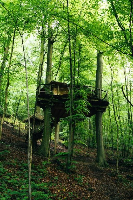 Treehouse Trenčianske Teplice — фото 5