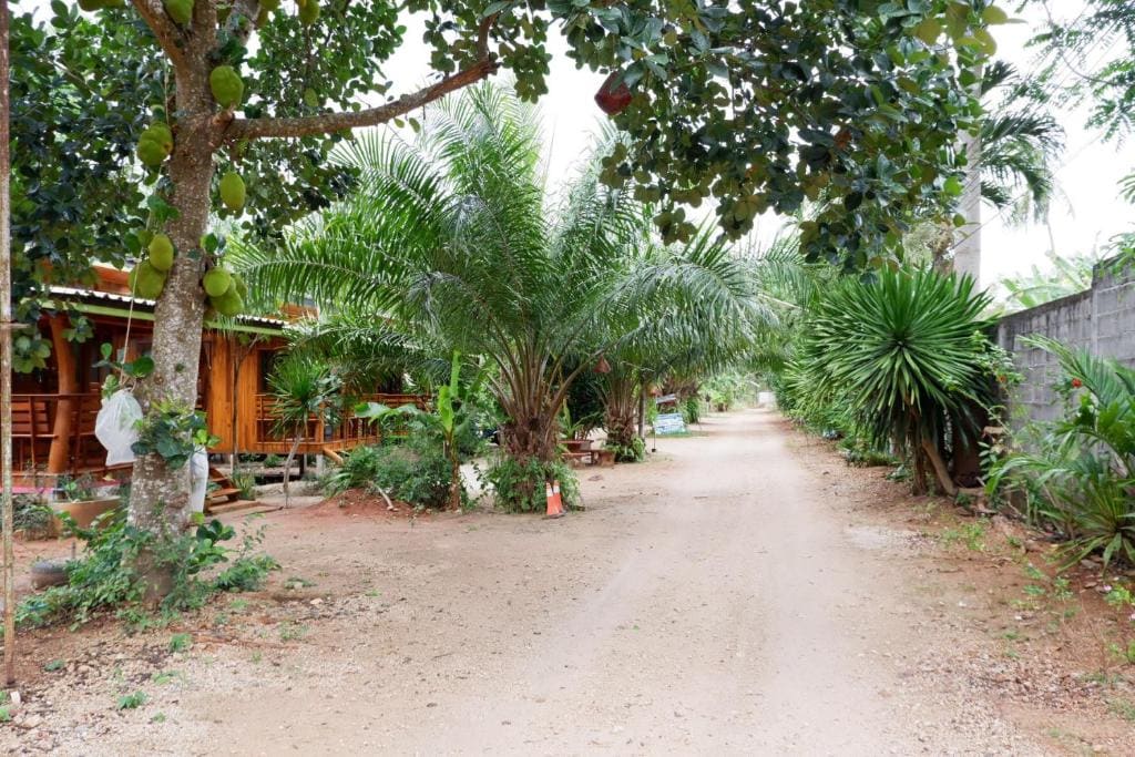 Baansuan Resort - View 5