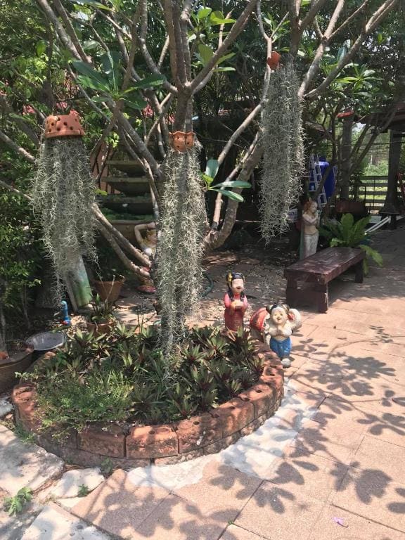 Green Leaf Resort - View 3
