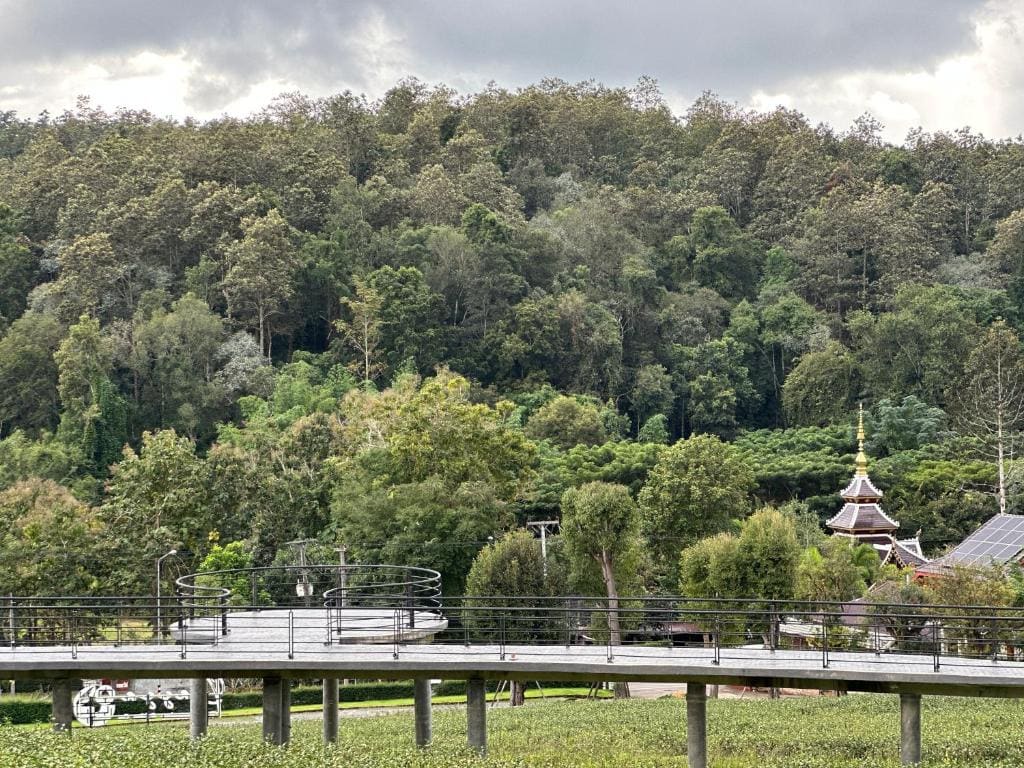 PASSA ผัสสะ Tea Plantation @Mae On - View 4