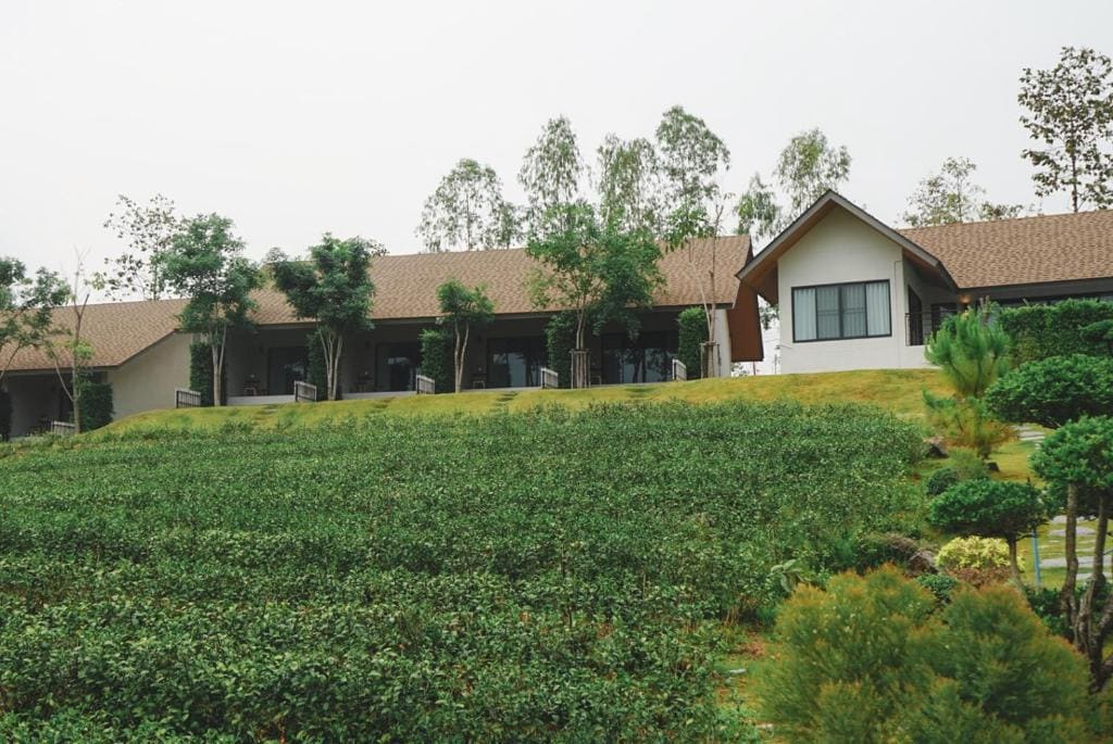 PASSA ผัสสะ Tea Plantation @Mae On - View 2