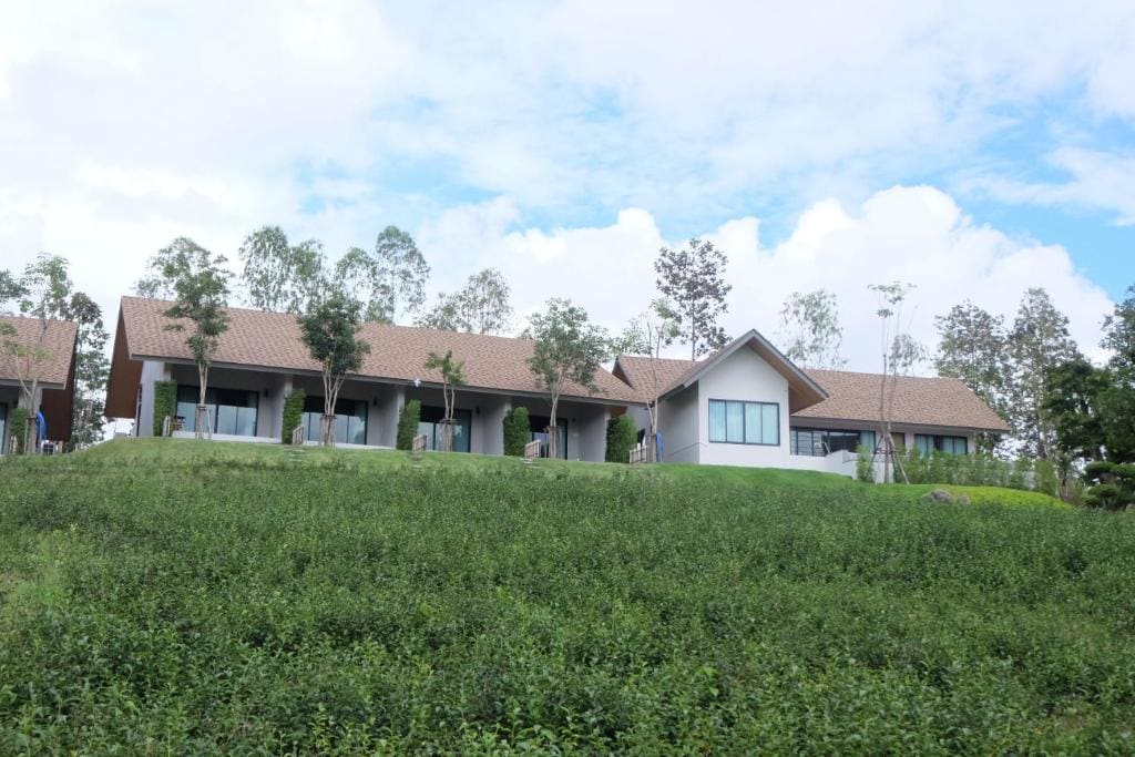 PASSA ผัสสะ Tea Plantation @Mae On - View 6