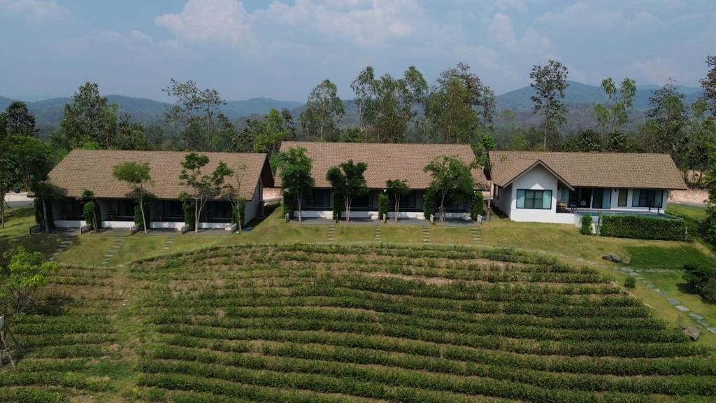PASSA ผัสสะ Tea Plantation @Mae On - Main view