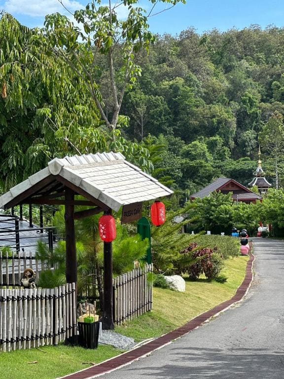 PASSA ผัสสะ Tea Plantation @Mae On - View 5
