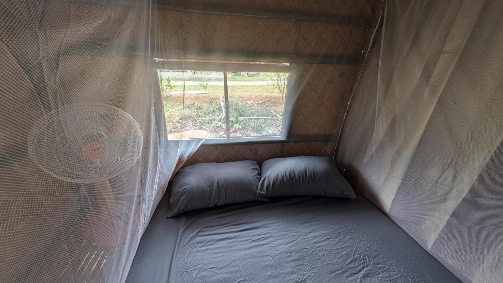 Tarzan Bamboo hut - View 4