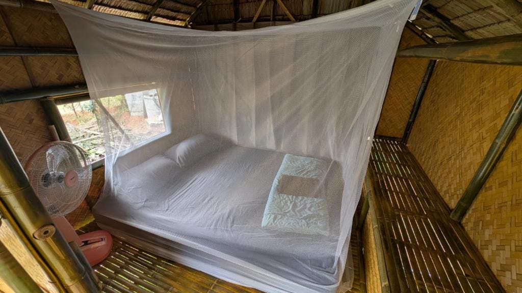 Tarzan Bamboo hut - View 2