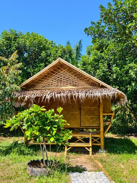 Tarzan Bamboo hut - View 5