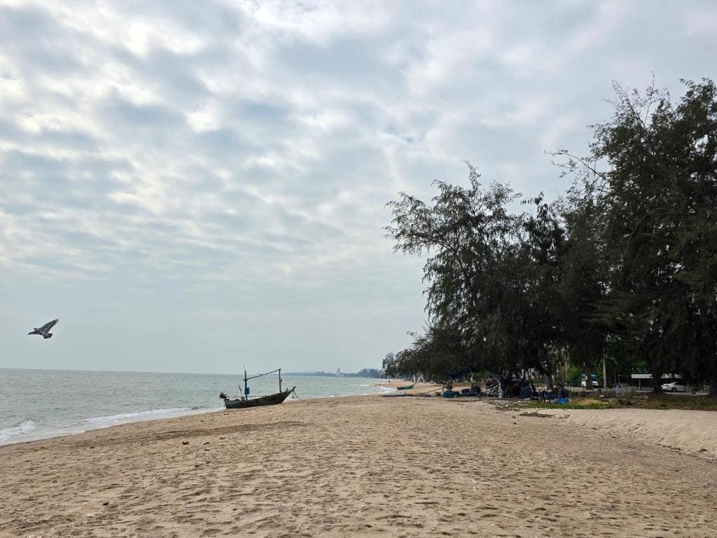 The Beach Palace - Main view
