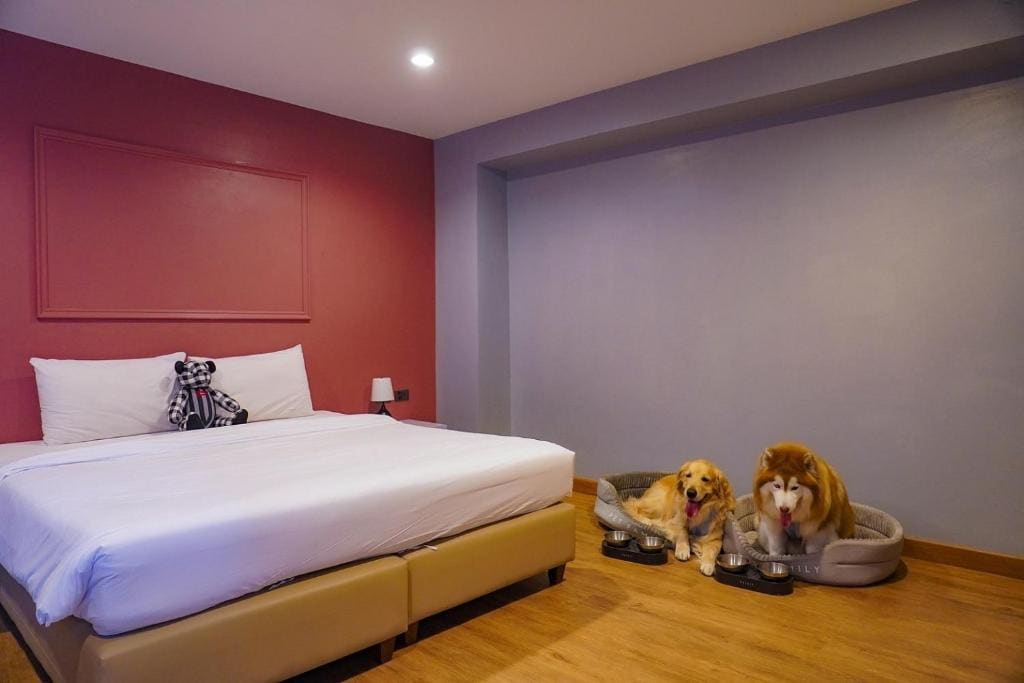Lima Hotel - View 2
