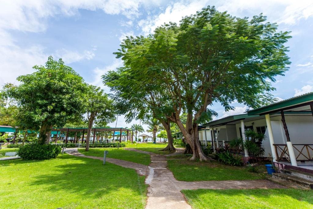 the ocean resort samui - Main view
