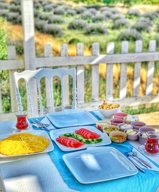 Aliya Konak - Köy Evi ve Lezzetleri - View 5
