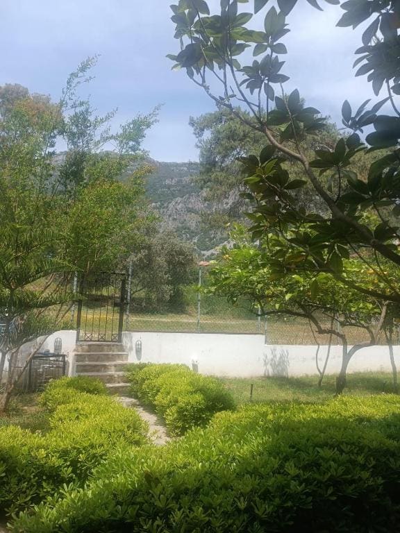 SUMMER OTEL - View 5