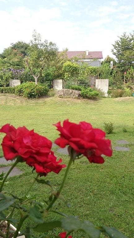 Slow Fly B&B - View 7