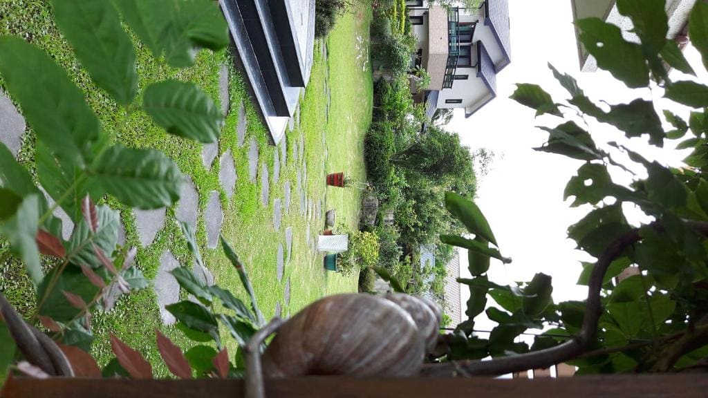 Slow Fly B&B - View 2