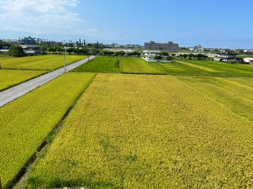 Xin yi - View 5