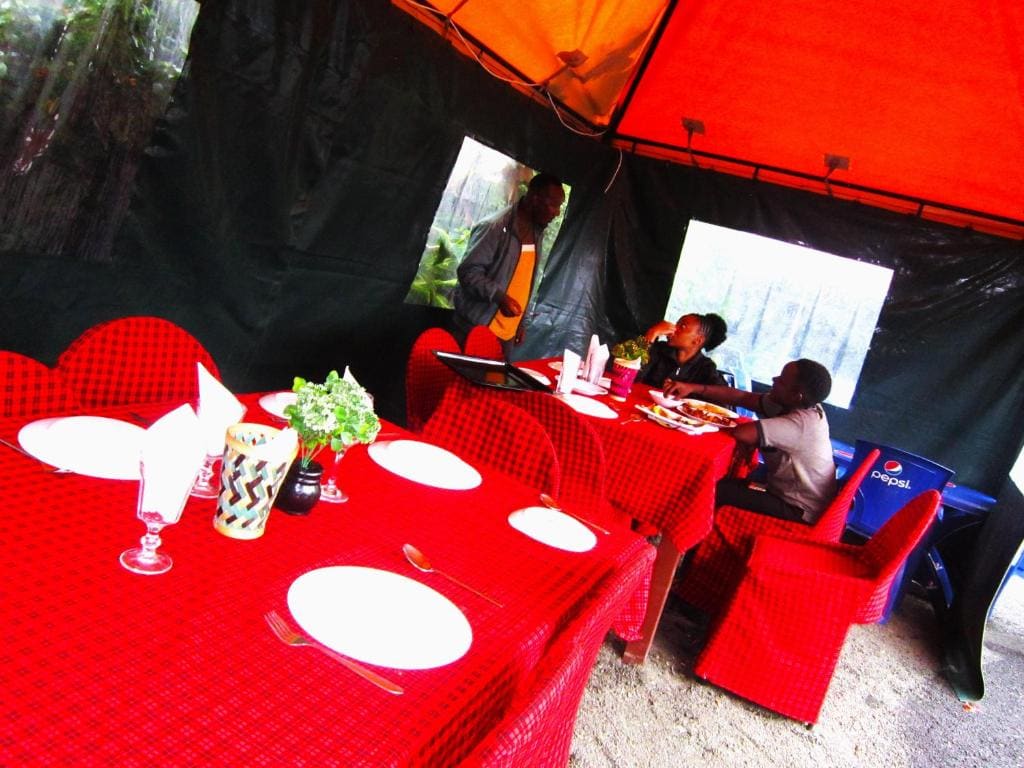 Safari Park House - View 4