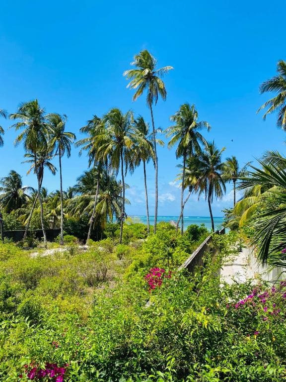 Sumaku Beach House - View 5