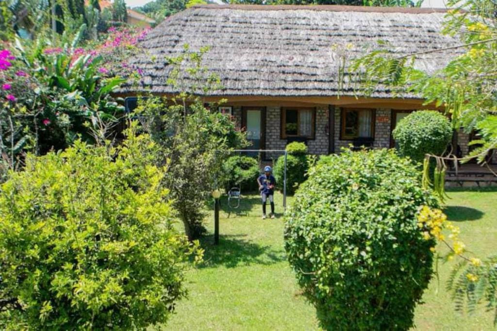 Gorilla Tours and Travel Africa Ltd - Main view