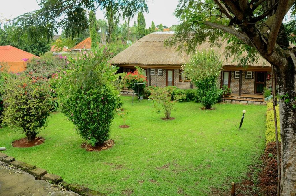 Gorilla Tours and Travel Africa Ltd - View 7