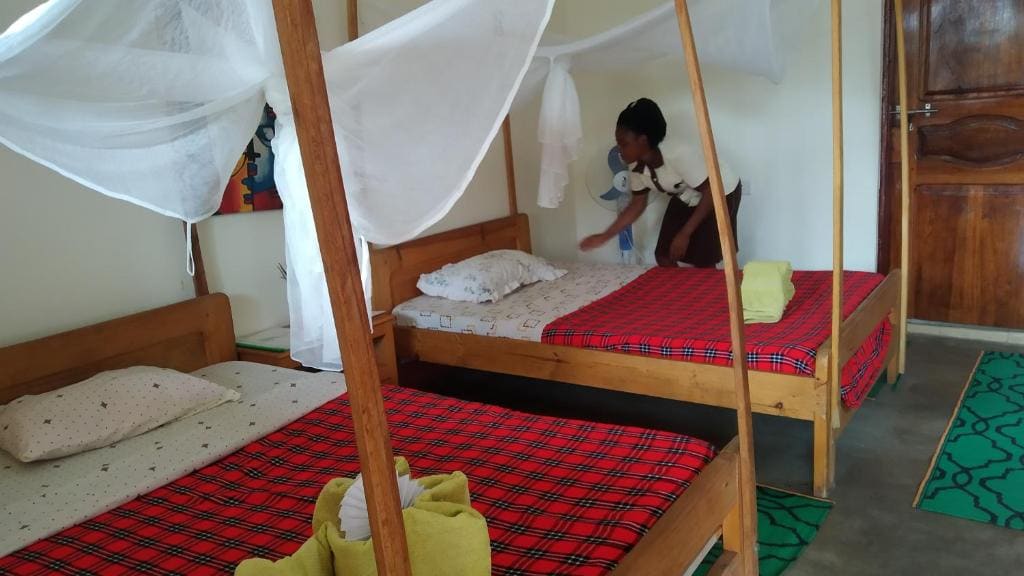 The Elephant Home - View 5