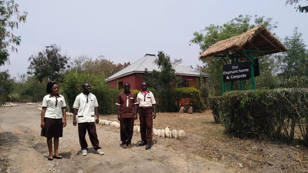 The Elephant Home - Main view