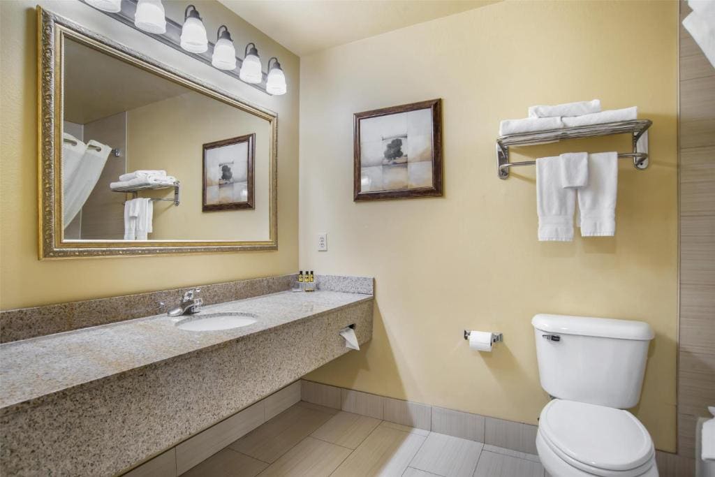 Best Western Plus Bessemer - View 7