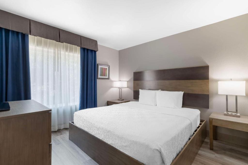 Best Western Plus Downtown North - View 7