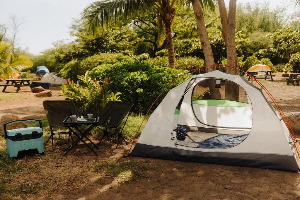 Budget Hack Maui SUV camping - View 7