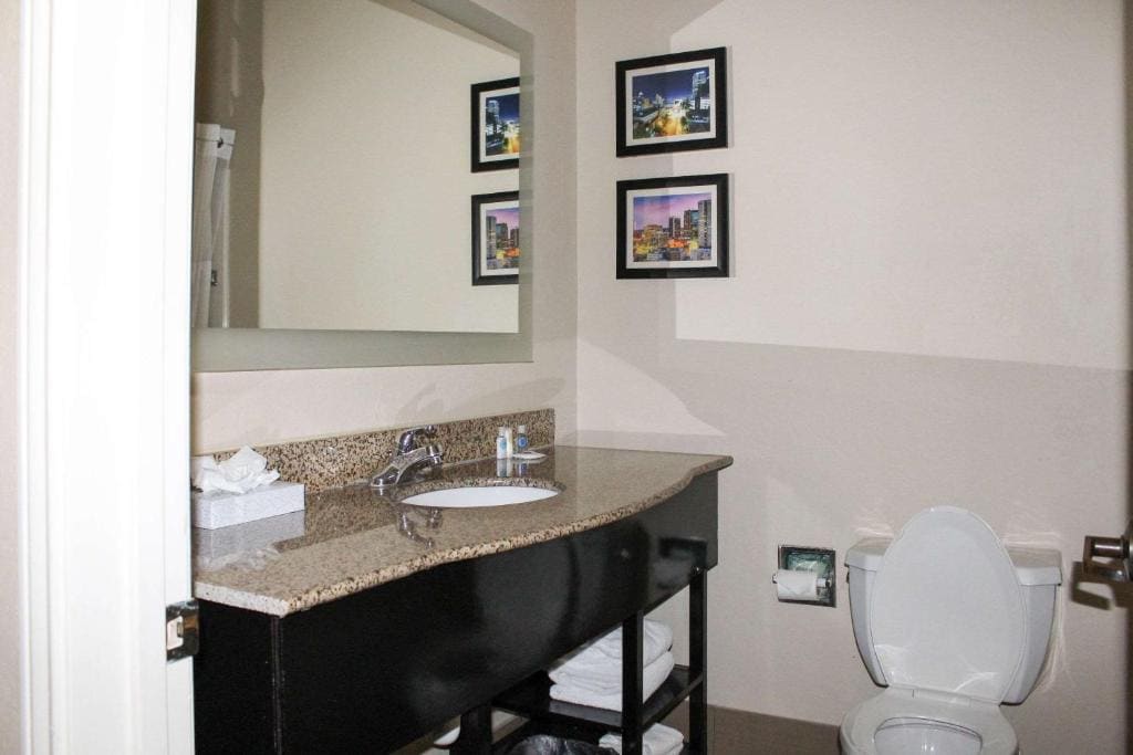 Comfort Inn & Suites Fultondale Gardendale I-65 - View 4