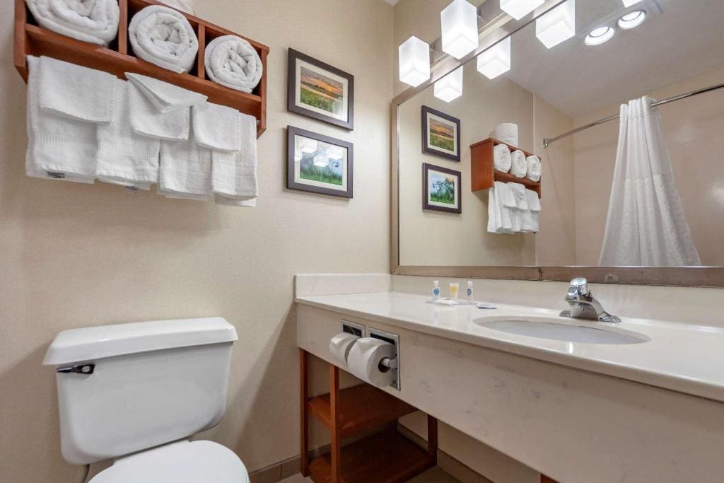 Comfort Inn Grand Island North - View 6
