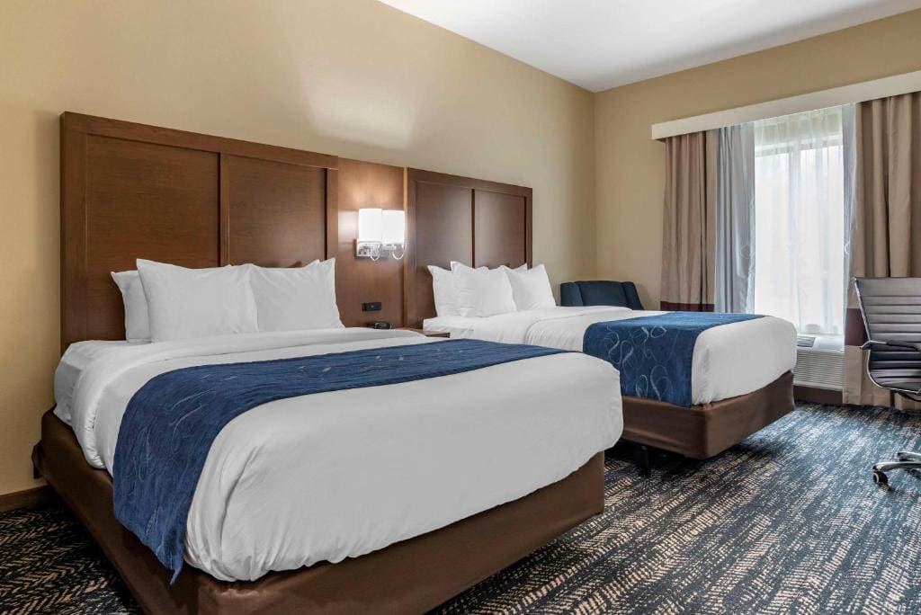 Comfort Inn & Suites Downtown near University - View 7