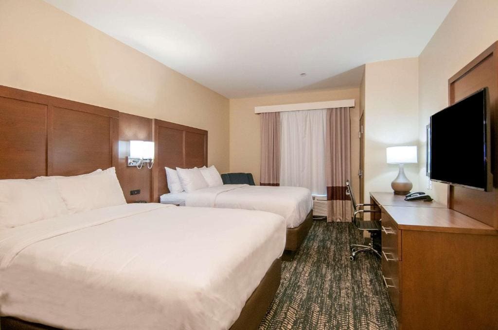 Comfort Inn & Suites Downtown near University - View 2
