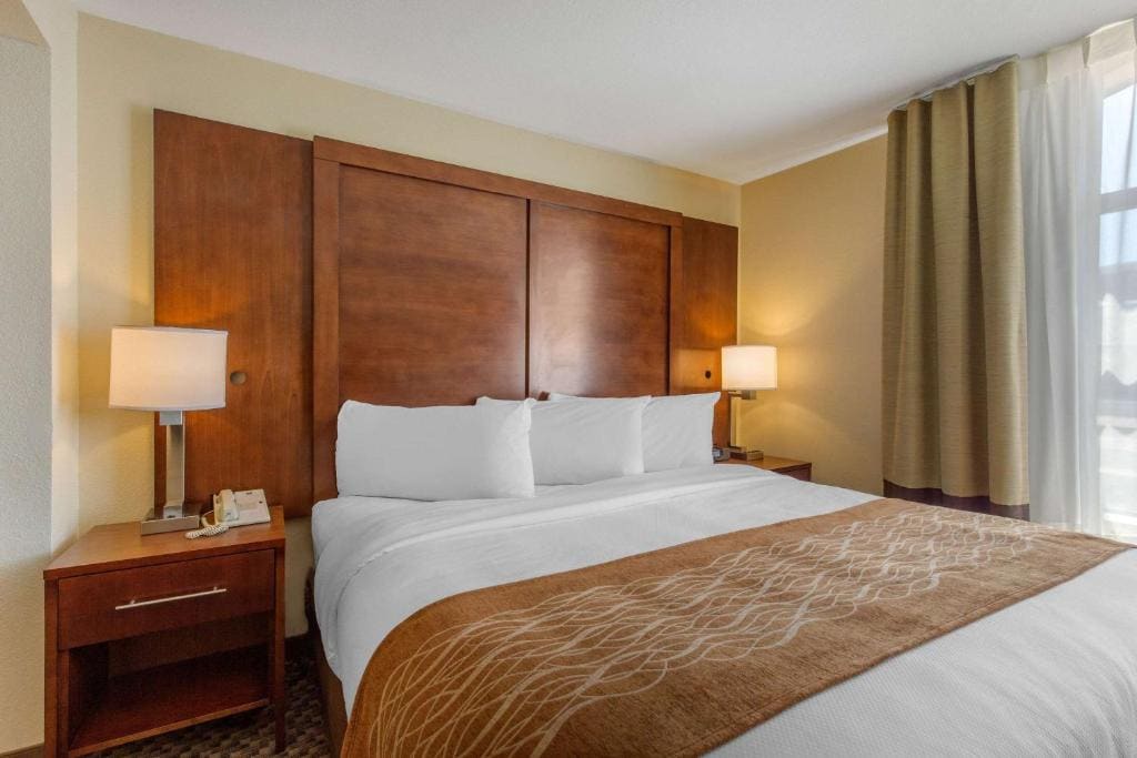 Comfort Inn & Suites SW Houston Sugarland - View 6